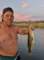 imgg251025_175757_small.jpg