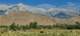 imgg20260718_071851_small.jpg