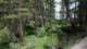 imgo7250054_small.jpg
