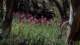 imgo7290143_small.jpg