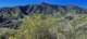 imgg20260404_091946_small.jpg