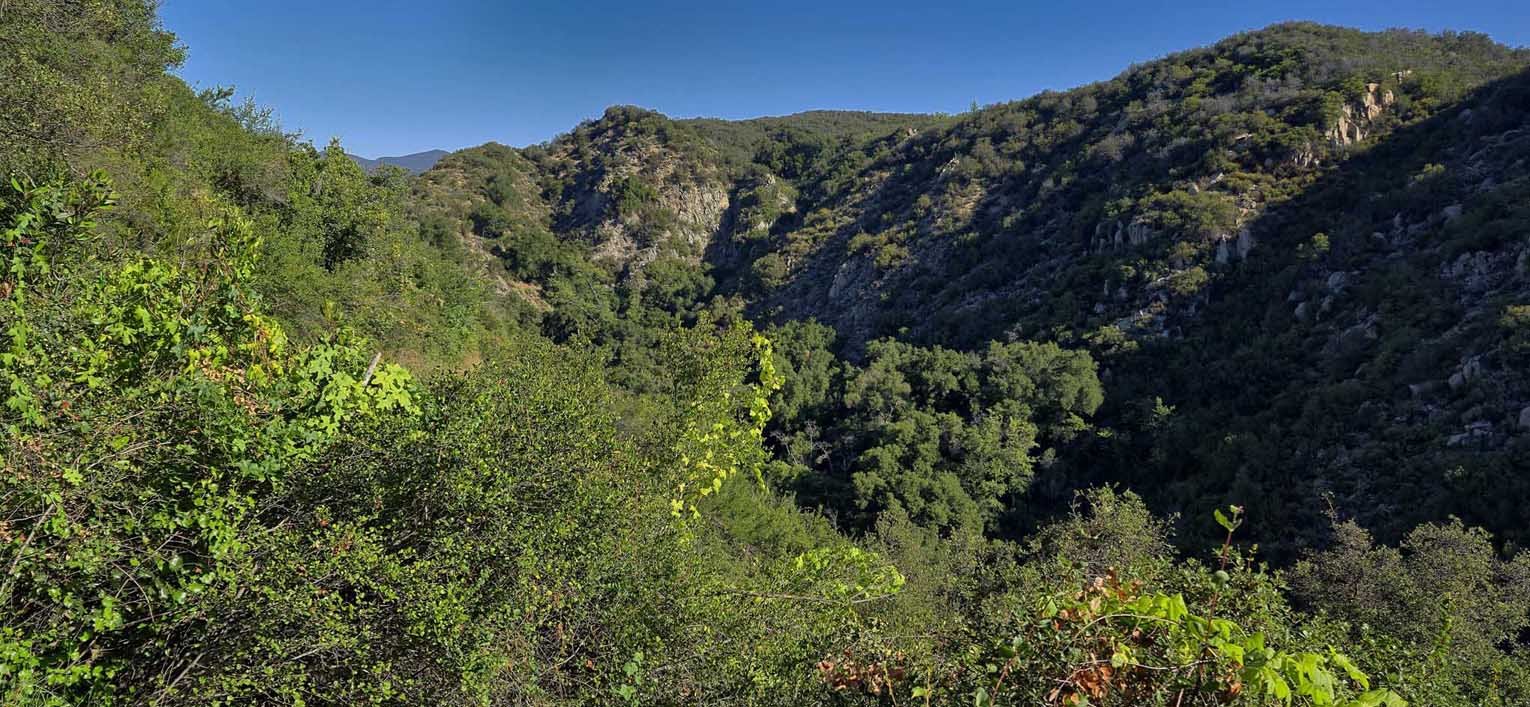 imgg20260509_083020.jpg