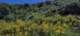 imgg20260509_130155_small.jpg
