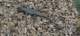 imgg20260516_122442_small.jpg